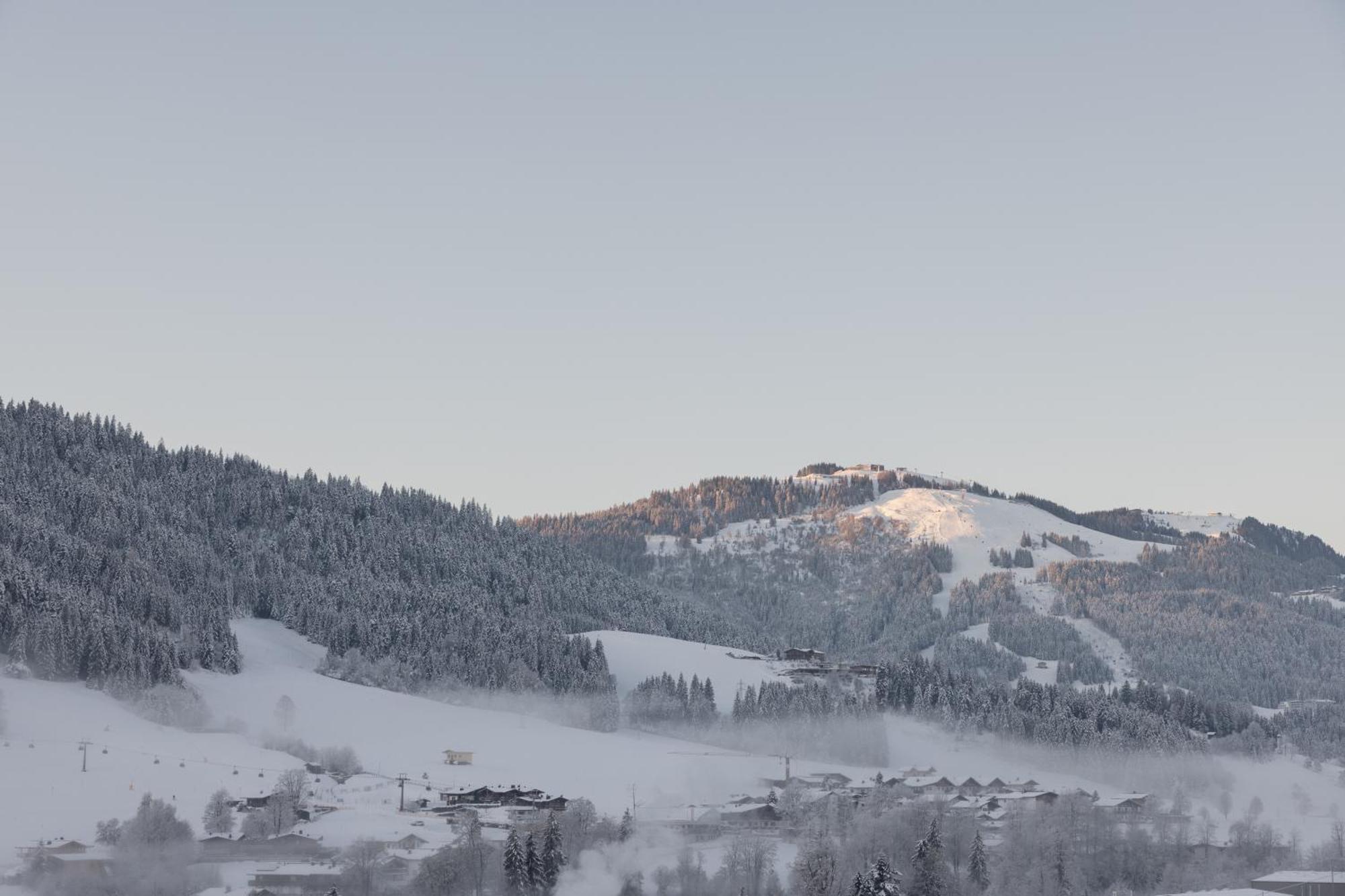Going Triple A Apartments West Going am Wilden Kaiser エクステリア 写真